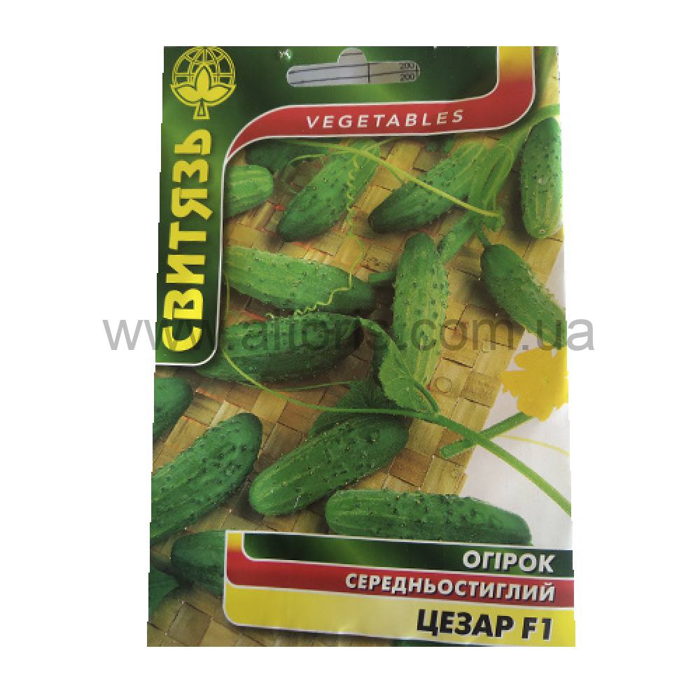 семена Огурец - Цезарь F1  5г Свитязь